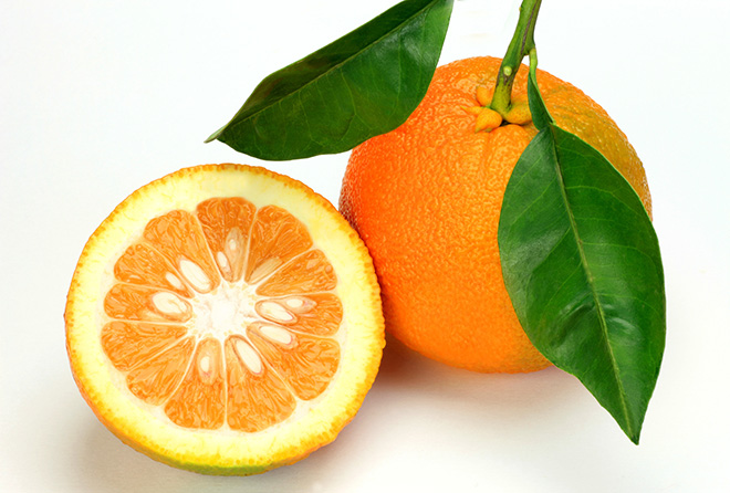 皮の厚いオレンジ