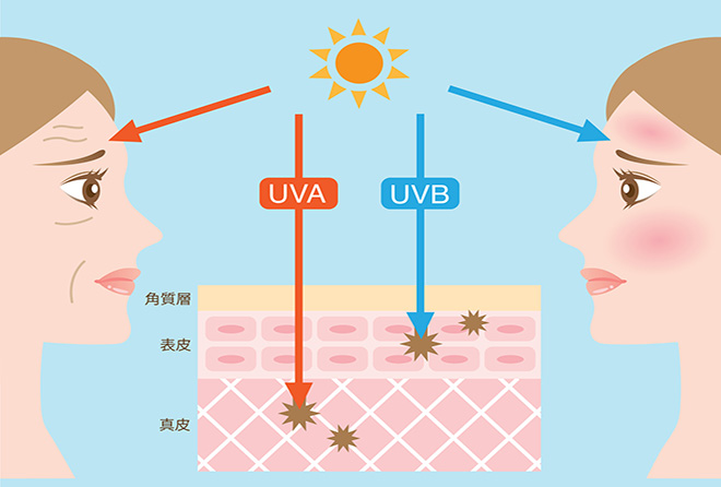 夏が近づくほど気になる紫外線! 今年は内側からケアしてみては?