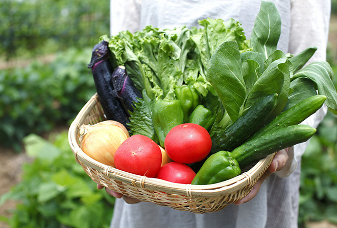 今が旬の夏野菜。食べるほどに綺麗になれて夏バテ知らずに