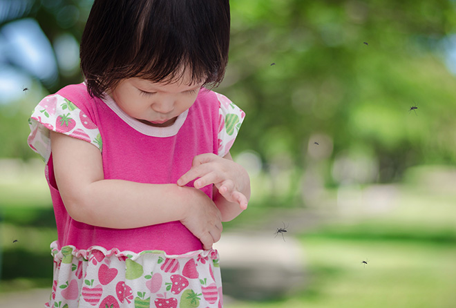 子供や肌が弱い人でも使えて、よく効く虫よけはコレ!