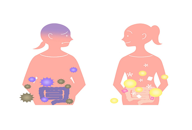 デブ菌は加齢でも増える!? これ以上デブ菌を増やさないためには