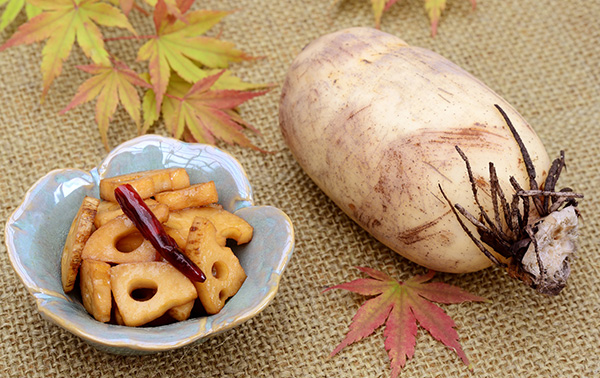 食べる漢方！レンコンパワーで体を潤し健康美人に！