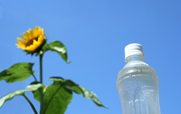 夏の上手な水分補給法とは？