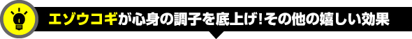 エゾウコギが心身の調子を底上げ！その他の嬉しい効果