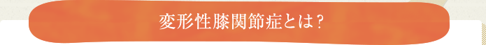 変形性膝関節症とは？