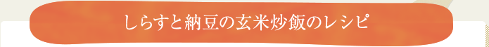 しらすと納豆の玄米炒飯のレシピ