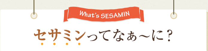 What's SESAMIN セサミンってなぁ～に？