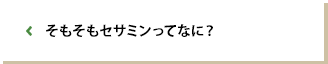 そもそもセサミンってなに？