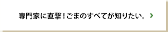 専門家に直撃！ごまのすべてが知りたい。