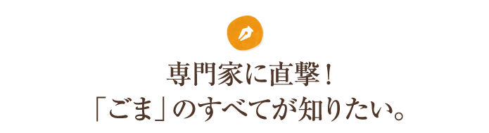 専門家に直撃！「ごま」のすべてが知りたい。