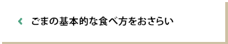 ごまの基本的な食べ方をおさらい