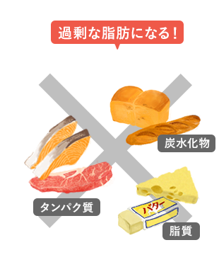 タンパク質、炭水化物、脂質