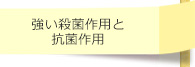 強い殺菌作用と抗酸化作用