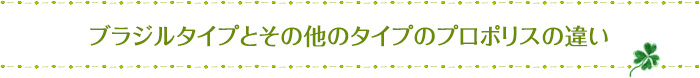ブラジルタイプとその他のタイプのプロポリスの違い