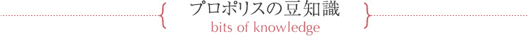 プロポリスの豆知識