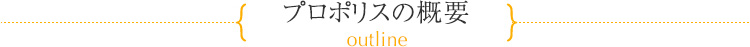 プロポリスの概要