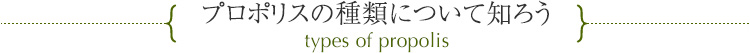 プロポリスの種類について知ろう