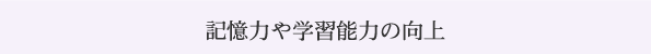 記憶や学習能力の向上