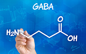 発芽玄米とGABA